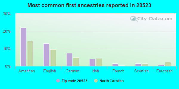 Most common first ancestries reported in 28523