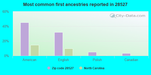 Most common first ancestries reported in 28527