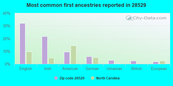 Most common first ancestries reported in 28529