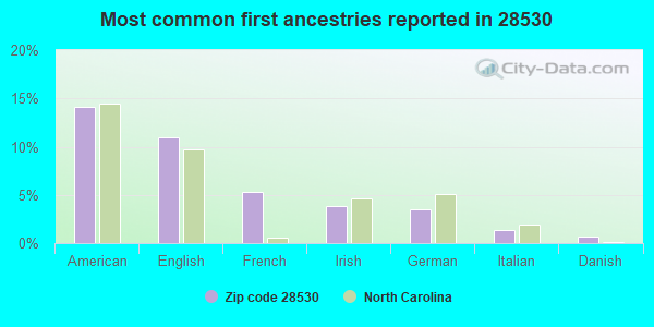 Most common first ancestries reported in 28530