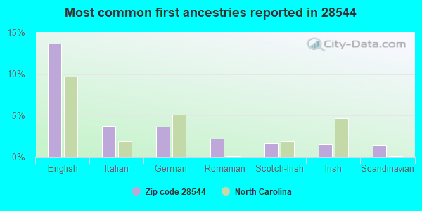 Most common first ancestries reported in 28544