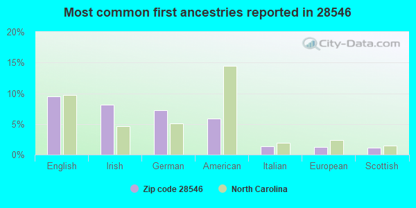 Most common first ancestries reported in 28546