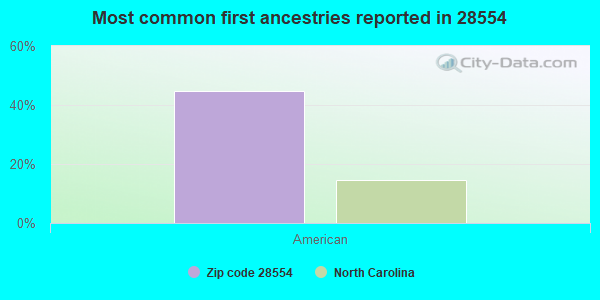 Most common first ancestries reported in 28554
