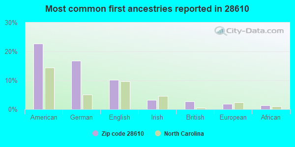 Most common first ancestries reported in 28610