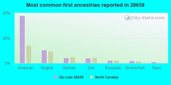 Most common first ancestries reported in 28659