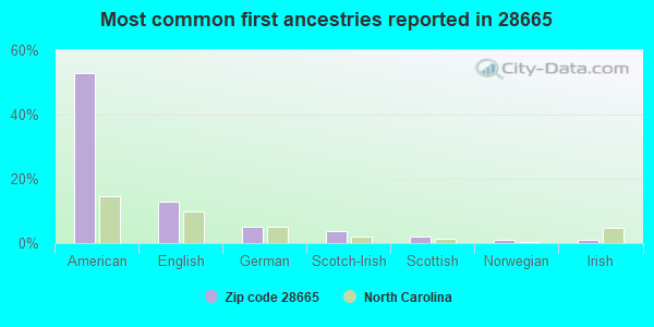 Most common first ancestries reported in 28665
