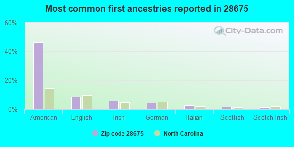 Most common first ancestries reported in 28675