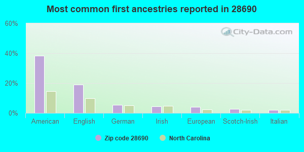 Most common first ancestries reported in 28690