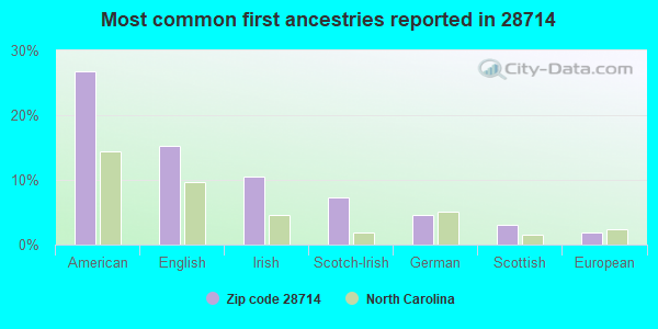 Most common first ancestries reported in 28714