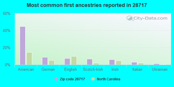 Most common first ancestries reported in 28717