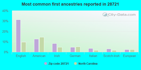 Most common first ancestries reported in 28721