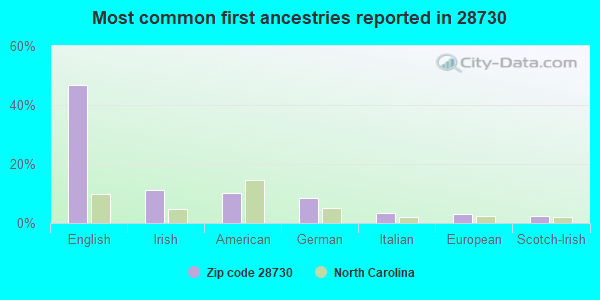 Most common first ancestries reported in 28730