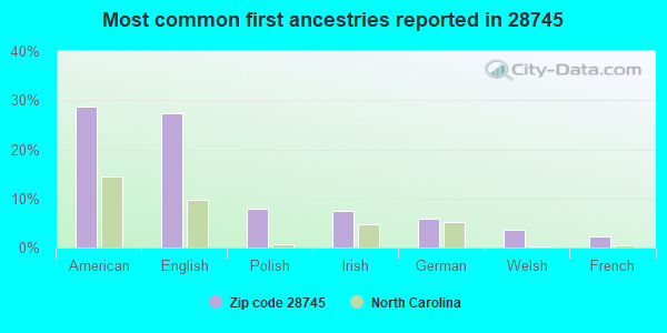Most common first ancestries reported in 28745