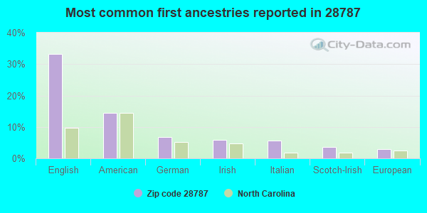Most common first ancestries reported in 28787