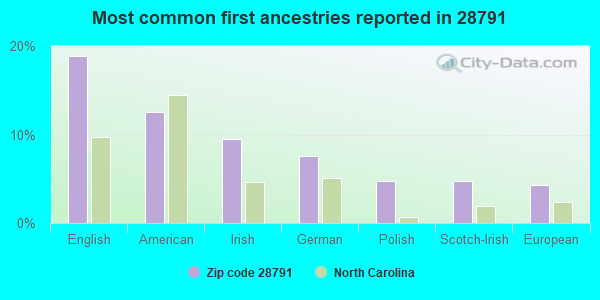 Most common first ancestries reported in 28791