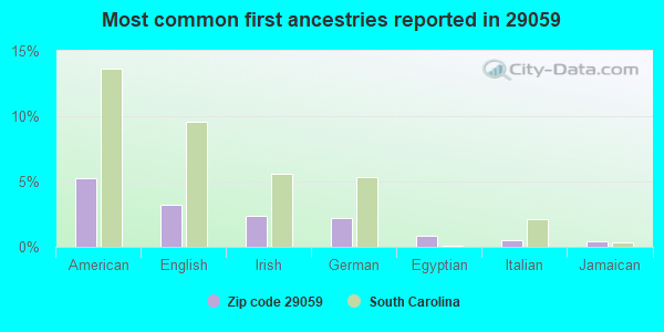 Most common first ancestries reported in 29059
