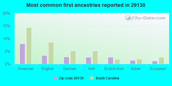 Most common first ancestries reported in 29130
