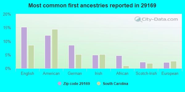 Most common first ancestries reported in 29169