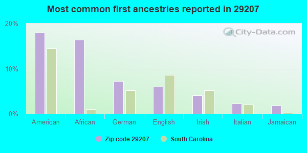 Most common first ancestries reported in 29207