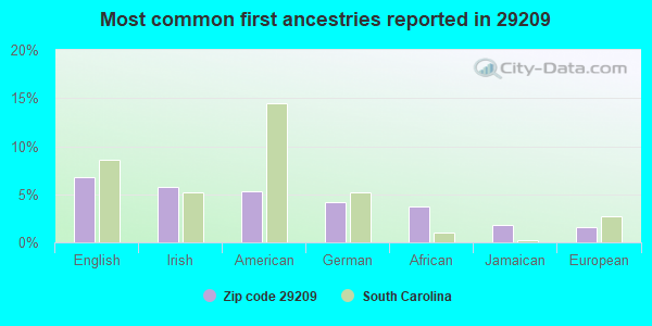 Most common first ancestries reported in 29209