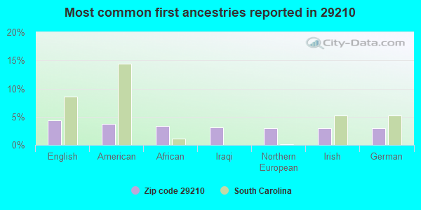 Most common first ancestries reported in 29210