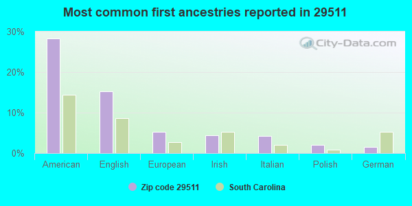 Most common first ancestries reported in 29511