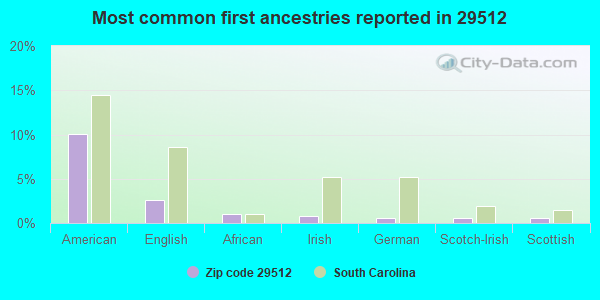 Most common first ancestries reported in 29512