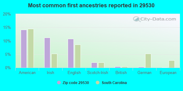 Most common first ancestries reported in 29530