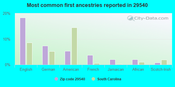Most common first ancestries reported in 29540