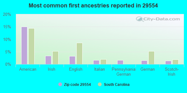Most common first ancestries reported in 29554