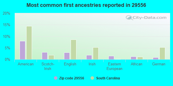 Most common first ancestries reported in 29556