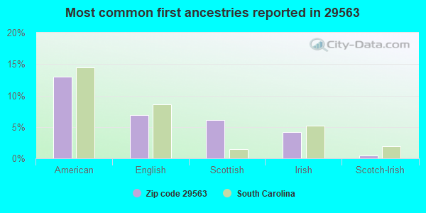 Most common first ancestries reported in 29563