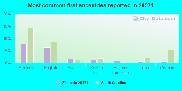 Most common first ancestries reported in 29571
