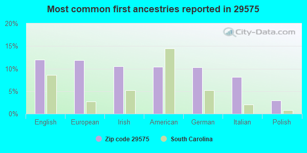 Most common first ancestries reported in 29575
