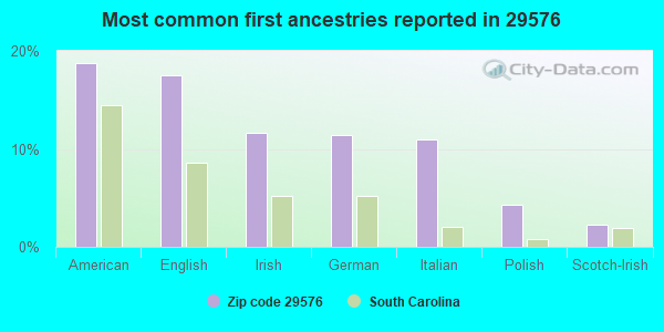 Most common first ancestries reported in 29576