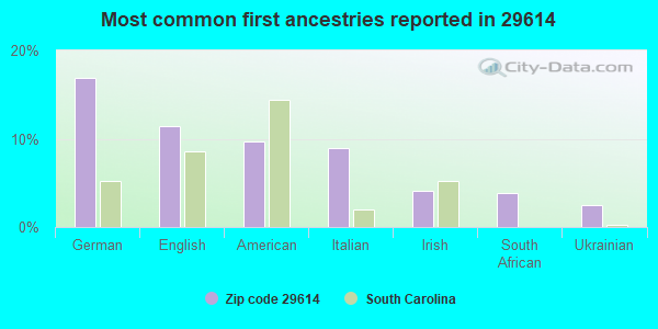 Most common first ancestries reported in 29614