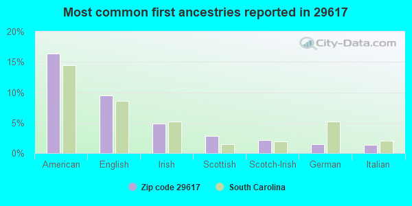 Most common first ancestries reported in 29617
