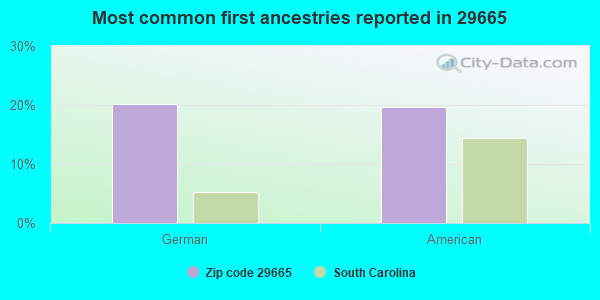 Most common first ancestries reported in 29665