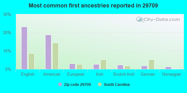 Most common first ancestries reported in 29709