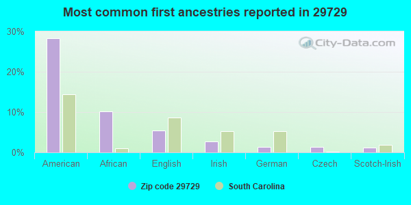 Most common first ancestries reported in 29729