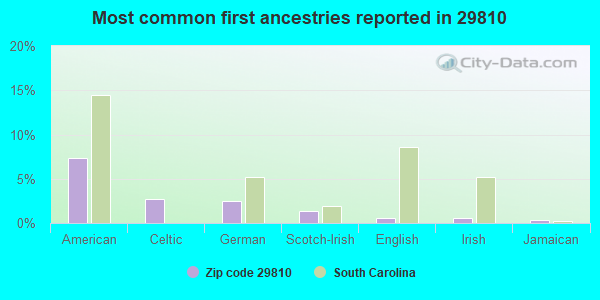 Most common first ancestries reported in 29810