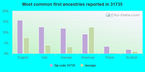 Most common first ancestries reported in 31735