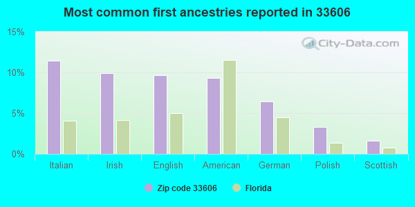 Most common first ancestries reported in 33606