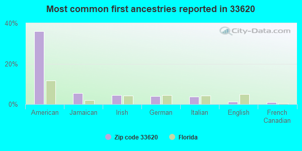 Most common first ancestries reported in 33620