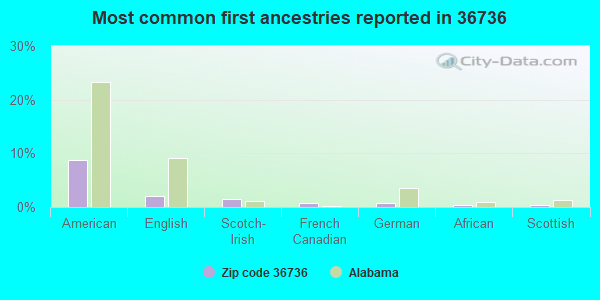 Most common first ancestries reported in 36736