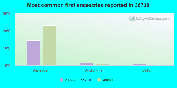 Most common first ancestries reported in 36738