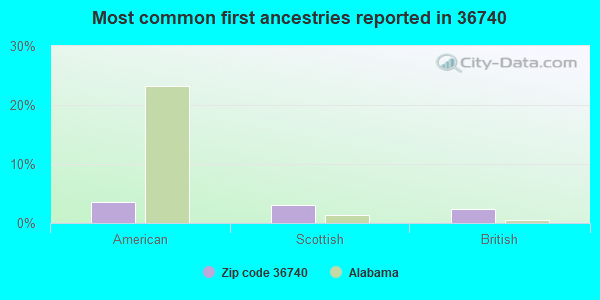 Most common first ancestries reported in 36740