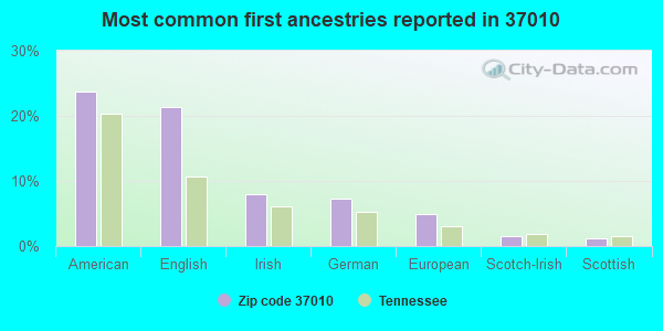 Most common first ancestries reported in 37010