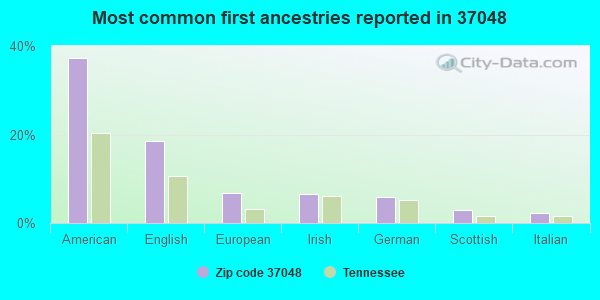 Most common first ancestries reported in 37048