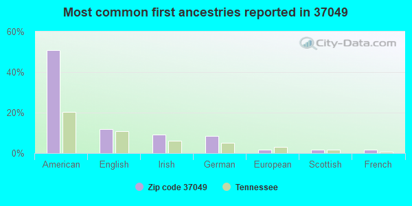 Most common first ancestries reported in 37049